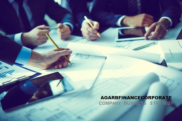 Company  Businesss  Strategy  [ONE PLATFORM - MULTIPLE OPTIONS]